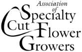 ascfg logo