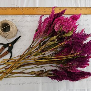 dried celosia flower stem bouquet
