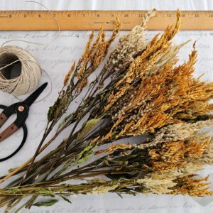dried celosia flower stem bouquet