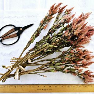 dried celosia flower stem bouquet