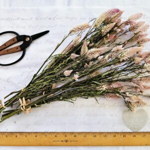 dried celosia flower stem bouquet