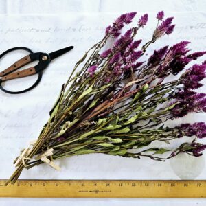 dried celosia flower stem bouquet