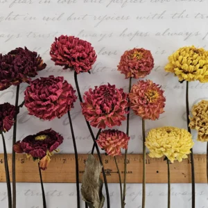 dried dahlia flower stems bouquet