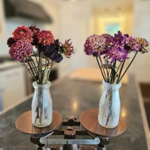 dried dahlia flower stems bouquet