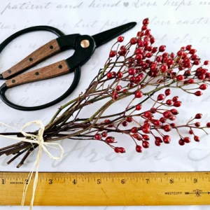 dried foraged wild rosehips