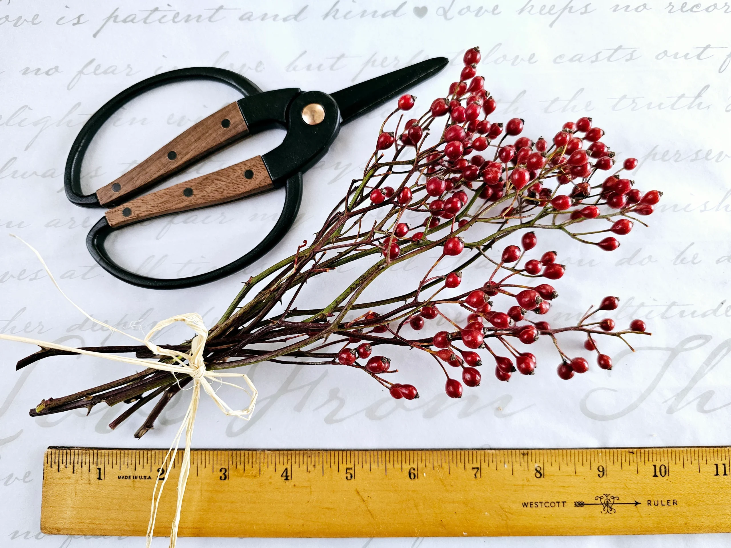 dried foraged wild rosehips