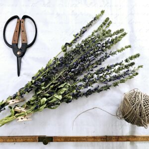 dried great blue lobelia bouquet