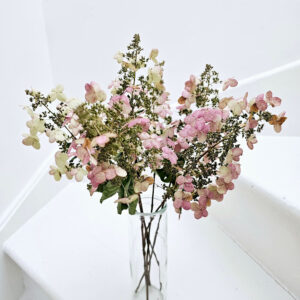 dried hydrangea paniculata tardiva flower stems