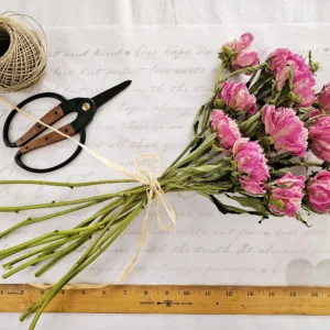 dried peony