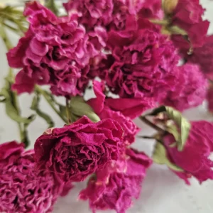 dried peony