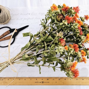 dried safflower flower stems