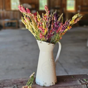 dried snapdragon