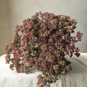 dried yarrow