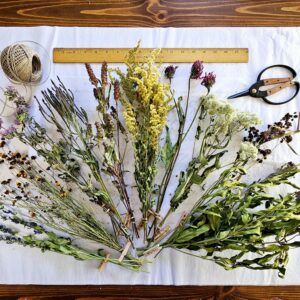 meadow and prairie native dried wildflower