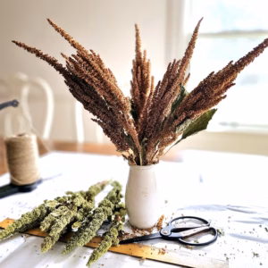 dried amaranth