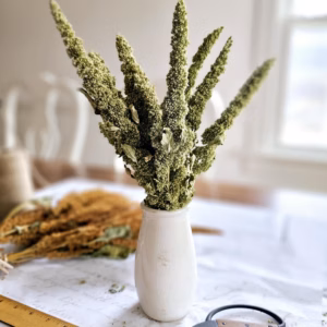 dried amaranth
