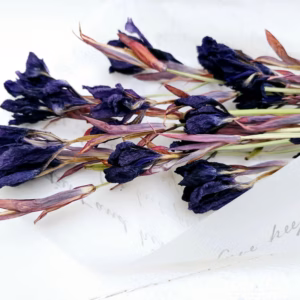 dried siberian iris