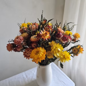 dried strawflower bunch