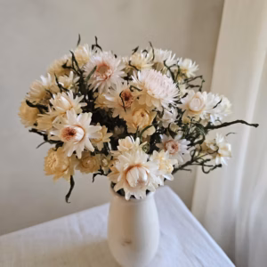 dried strawflower bunch