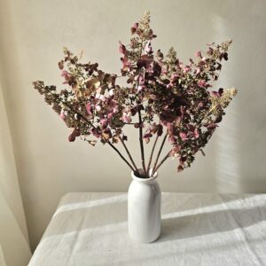 Dried Hydrangea Candelabra flower stems
